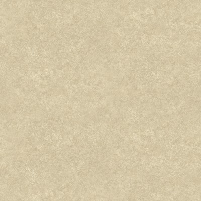 656664 Обои Wall Up Modern House
