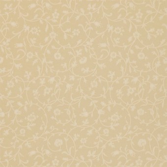 DMCW210450 Обои Morris&Co Wallpaper Compendium II