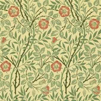 DMCW210478 Обои Morris&Co Wallpaper Compendium II