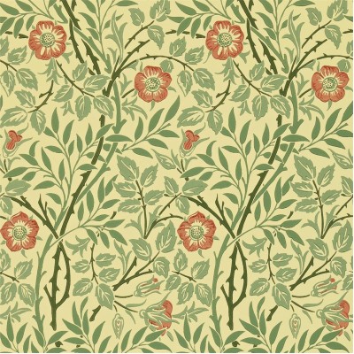 DMCW210478 Обои Morris&Co Wallpaper Compendium II