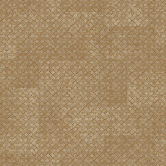 Z30348 Обои Zambaiti Parati Trussardi 8