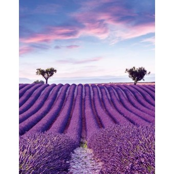 35643 Панно Marburg Gloockler Pompoos Provence