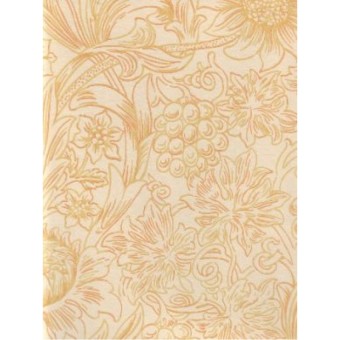 DMCW210474 Обои Morris&Co Wallpaper Compendium II