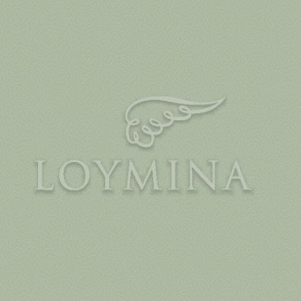 JET7 005 Обои Loymina Jetset