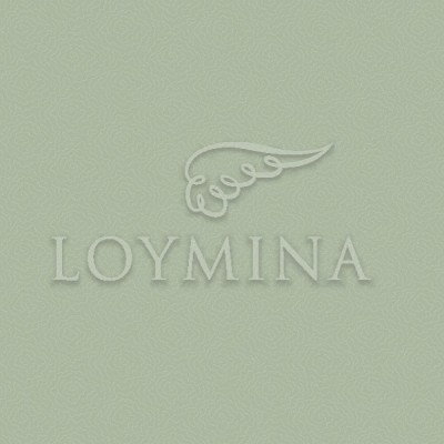 JET7 005 Обои Loymina Jetset