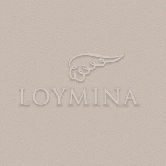 JET7 012 Обои Loymina Jetset