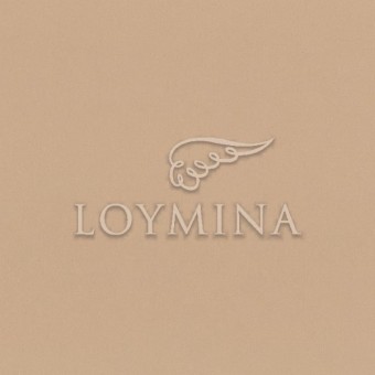 NK4 004 1 Обои Loymina Satori II