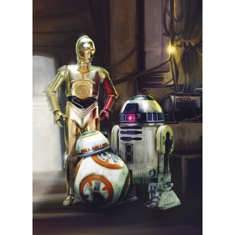 4-447-STAR-WARS-Three-Dro Фотообои Komar Disney x