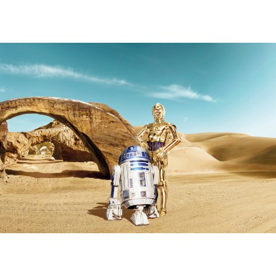 8-484-STAR-WARS-Lost-Droi Фотообои Komar Disney x