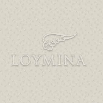 JET6 002 Обои Loymina Jetset