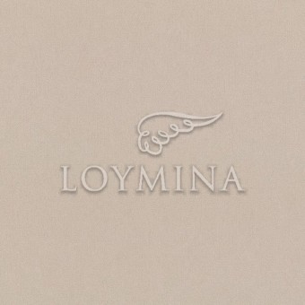 NK4 007 5 Обои Loymina Satori II