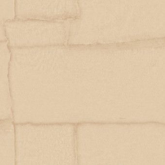 Z30304 Обои Zambaiti Parati Trussardi 8