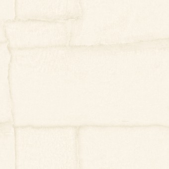 Z30307 Обои Zambaiti Parati Trussardi 8