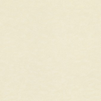 964844 Обои Rasch Wall Textures XL 2