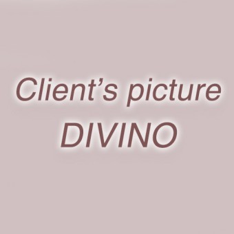 Client's picture Фотообои DIVINO Collection D x