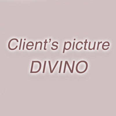 Client's picture Фотообои DIVINO Collection D x