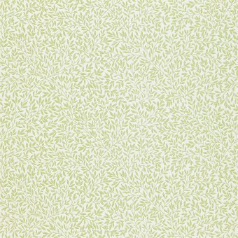 DMCW210469 Обои Morris&Co Wallpaper Compendium II