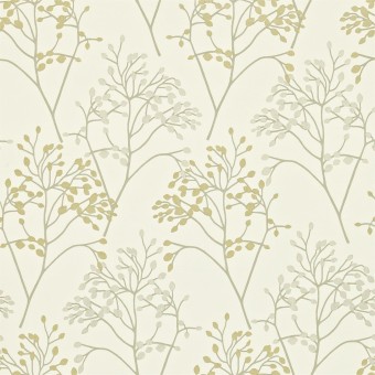 DMAD212836 Обои Sanderson Madison Wallpaper