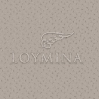 JET6 012 Обои Loymina Jetset