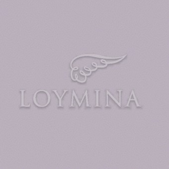 JET7 008 Обои Loymina Jetset