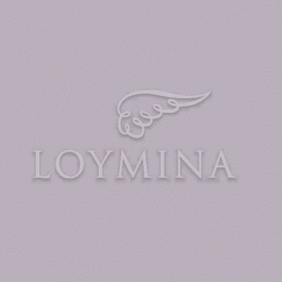 JET7 008 Обои Loymina Jetset