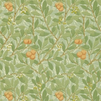 DMCW210408 Обои Morris&Co Wallpaper Compendium II