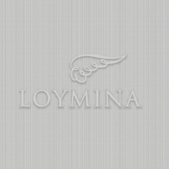 JET2 013 Обои Loymina Jetset