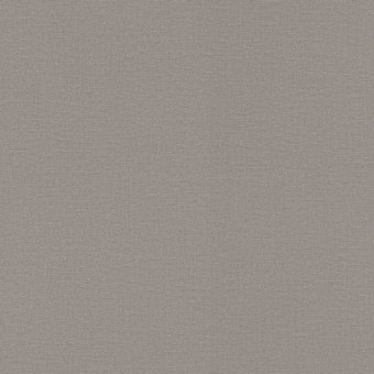 555875 Обои Rasch Natural Colors