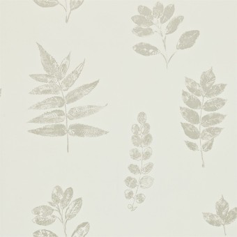 DMAD212851 Обои Sanderson Madison Wallpaper