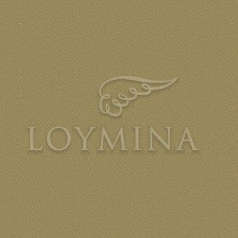 JET7 004 1 Обои Loymina Jetset