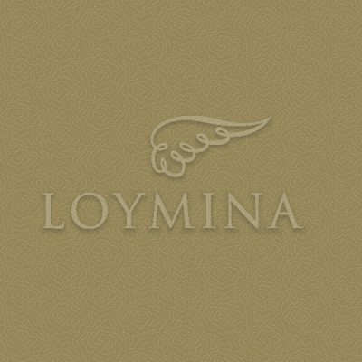 JET7 004 1 Обои Loymina Jetset