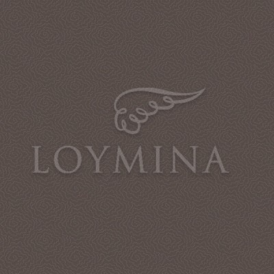 JET7 009 Обои Loymina Jetset