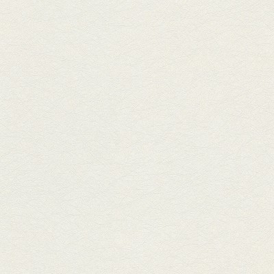 79042-2 Обои A.S. Creation Urban Flowers