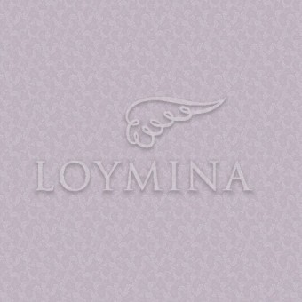 JET6 008 Обои Loymina Jetset